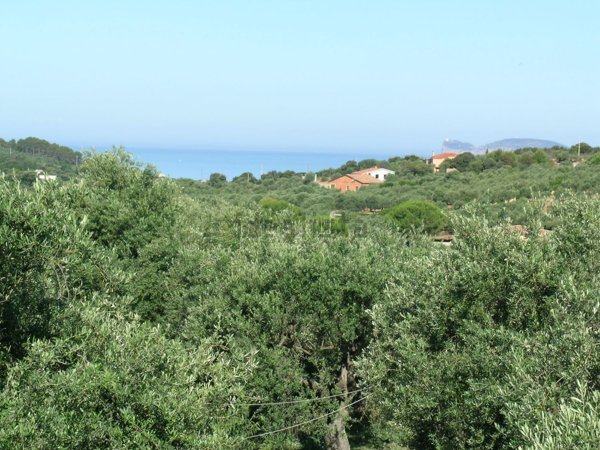 casa indipendente in vendita ad Alghero in zona Scaletta