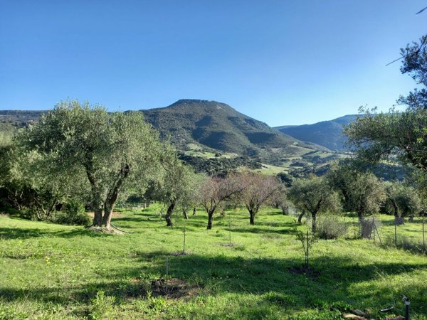 terreno agricolo in vendita ad Alghero