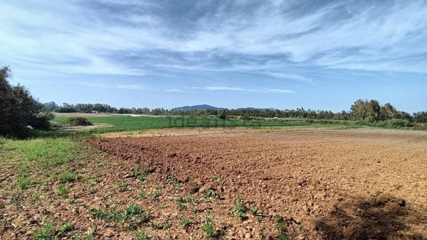 casa semindipendente in vendita ad Alghero