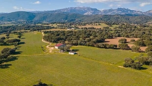 casa indipendente in vendita ad Alghero