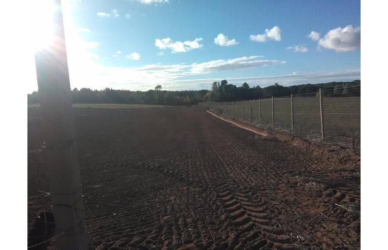 casa indipendente in vendita ad Alghero in zona Santa Maria La Palma