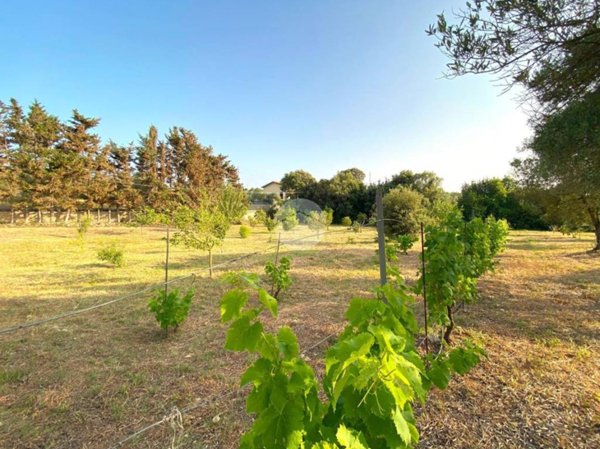 terreno agricolo in vendita ad Alghero in zona Sant'Anna