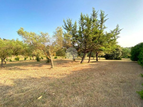 terreno agricolo in vendita ad Alghero in zona Sant'Anna