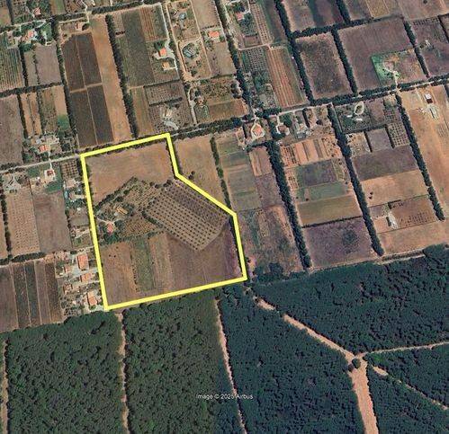 casa indipendente in vendita ad Alghero in zona Fertilia