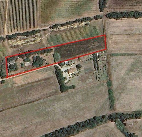 terreno agricolo in vendita ad Alghero in zona Fertilia