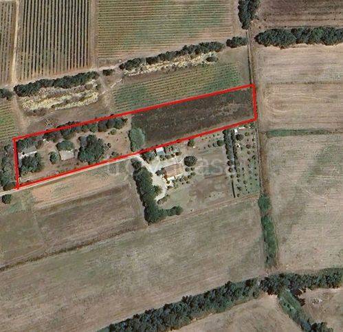 terreno agricolo in vendita ad Alghero in zona Guardia Grande