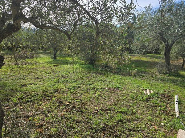 appartamento in vendita ad Alghero