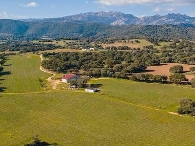 casa indipendente in vendita ad Alghero