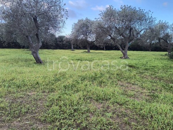 terreno agricolo in vendita ad Alghero