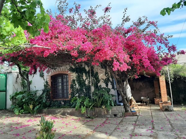 quadrivano in vendita ad Alghero