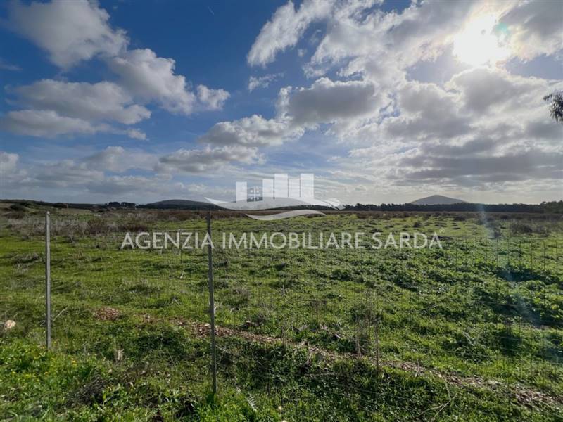 terreno agricolo in vendita ad Alghero