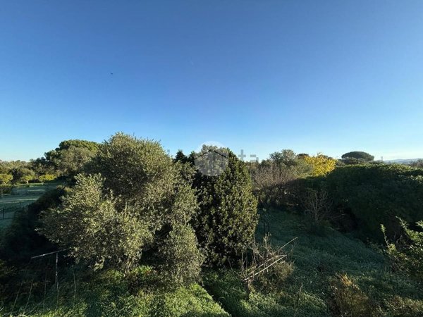 appartamento in vendita ad Alghero