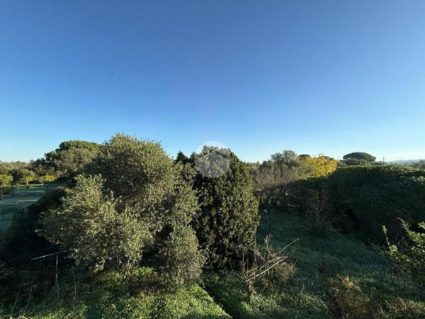 casa indipendente in vendita ad Alghero in zona Centro Storico