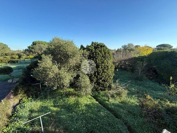 appartamento in vendita ad Alghero