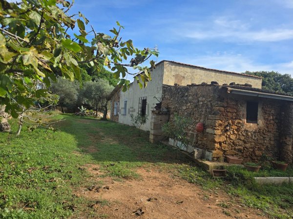 appartamento in vendita ad Alghero