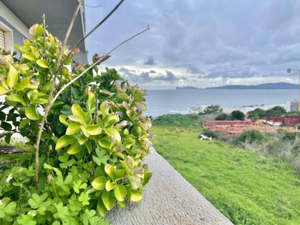 appartamento in vendita ad Alghero in zona Calabona