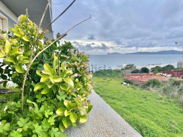 appartamento in vendita ad Alghero in zona Calabona