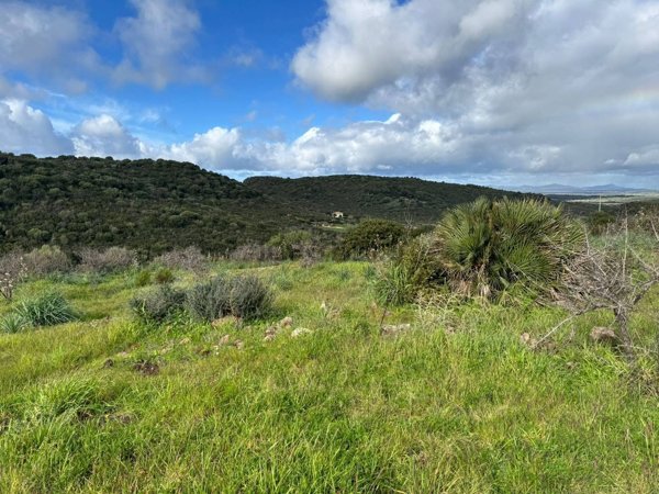 immagine annuncio 0 di 1