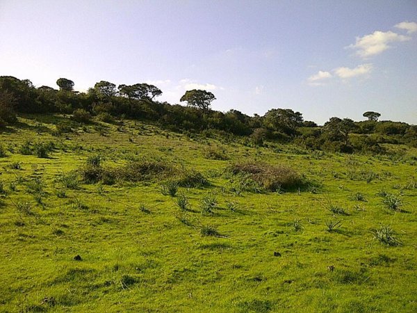 terreno agricolo in vendita ad Alghero