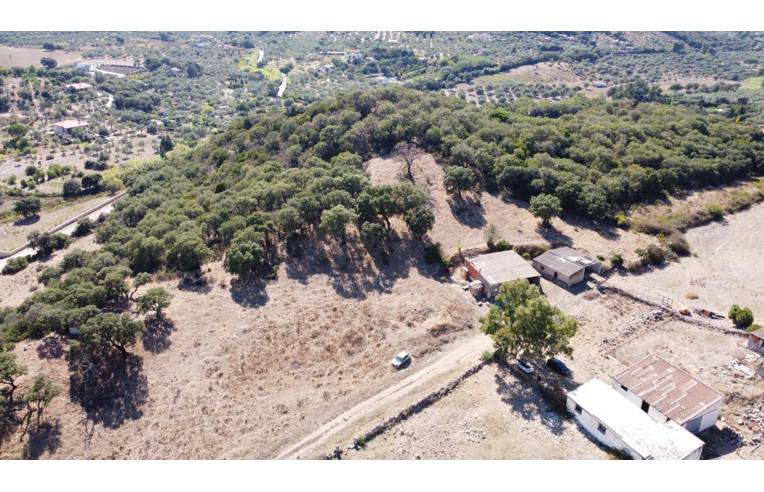 terreno agricolo in vendita ad Alghero