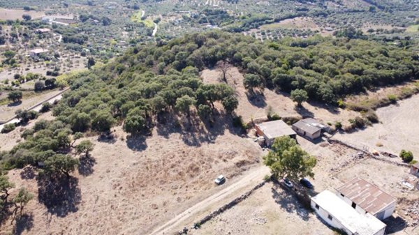 terreno agricolo in vendita ad Alghero