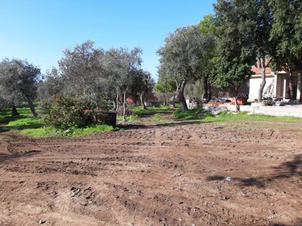 terreno agricolo in vendita ad Alghero in zona Carmine