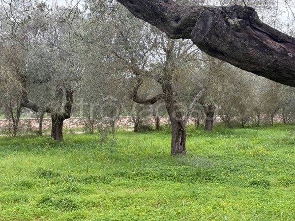 immagine annuncio 0 di 10