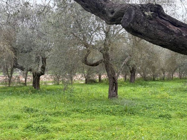 terreno agricolo in vendita ad Alghero in zona Sant'Agostino