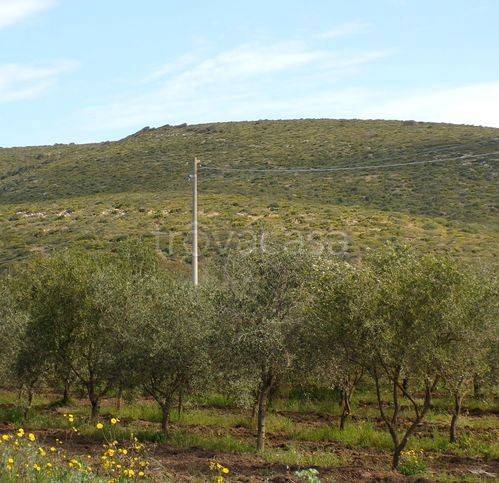 casa indipendente in vendita ad Alghero in zona Santa Maria La Palma