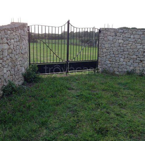 terreno agricolo in vendita ad Alghero