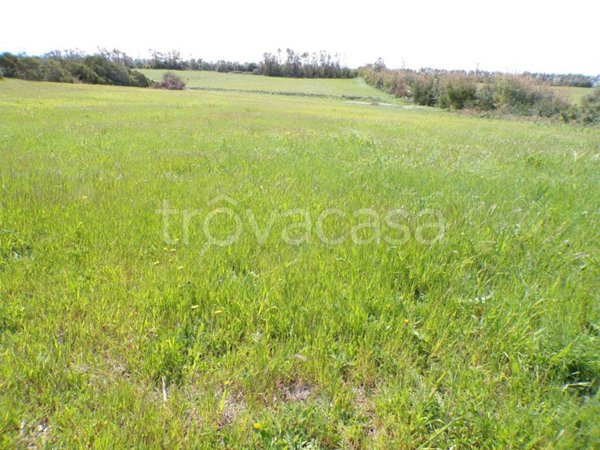 terreno agricolo in vendita ad Alghero in zona Sa Segada