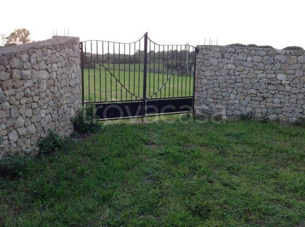 terreno agricolo in vendita ad Alghero