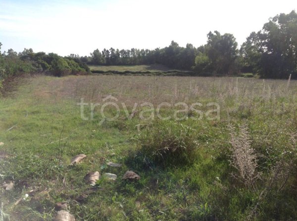 terreno agricolo in vendita ad Alghero in zona Sa Segada