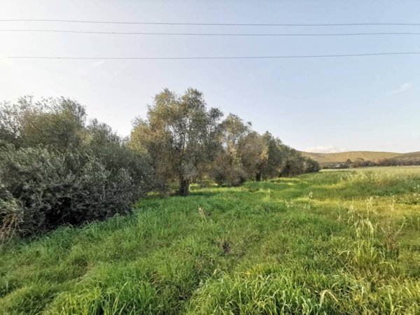 terreno agricolo in vendita ad Alghero in zona Fertilia