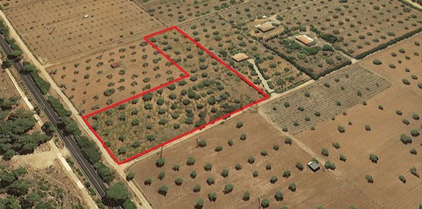 terreno agricolo in vendita ad Alghero