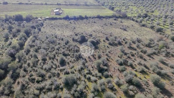 terreno edificabile in vendita ad Alghero