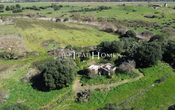 terreno agricolo in vendita ad Alghero