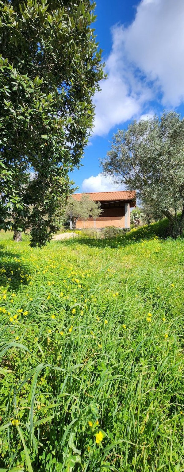 casa indipendente in vendita ad Alghero