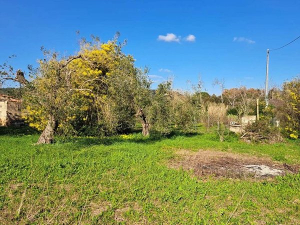 casa indipendente in vendita ad Alghero in zona Sant'Agostino