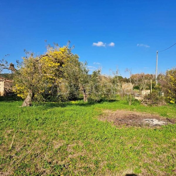 locale di sgombero in vendita ad Alghero in zona Carrabuffas