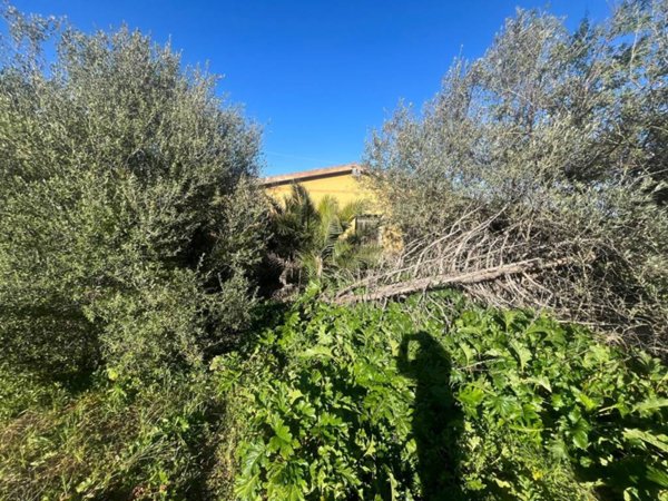 terreno agricolo in vendita ad Alghero in zona Maristella