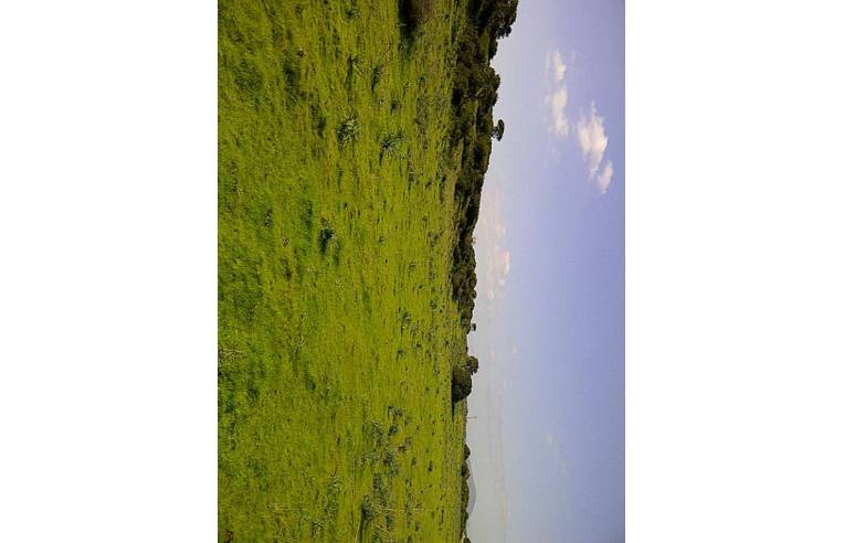 casa indipendente in vendita ad Alghero