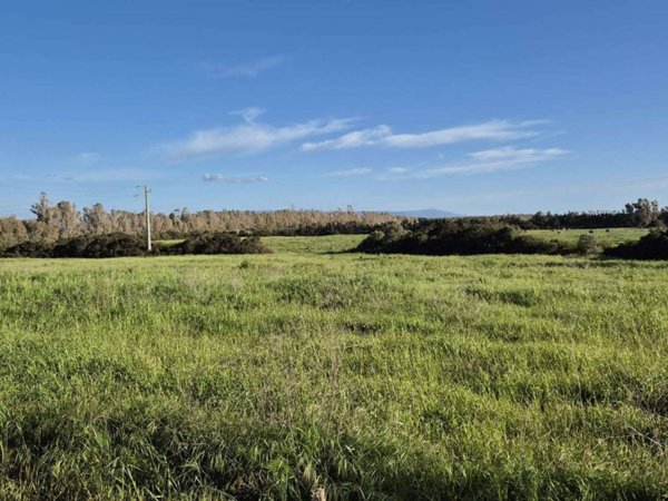 ufficio in vendita ad Alghero in zona Santa Maria La Palma