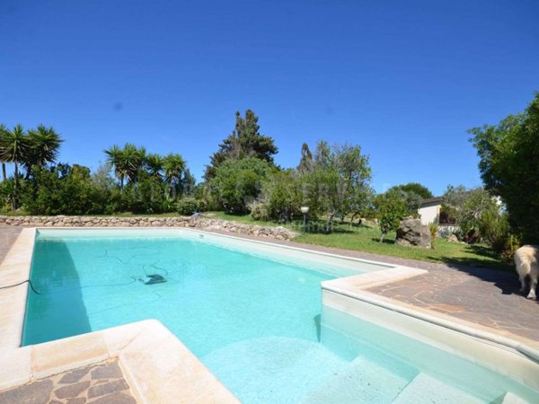 immagine annuncio 0 di 15