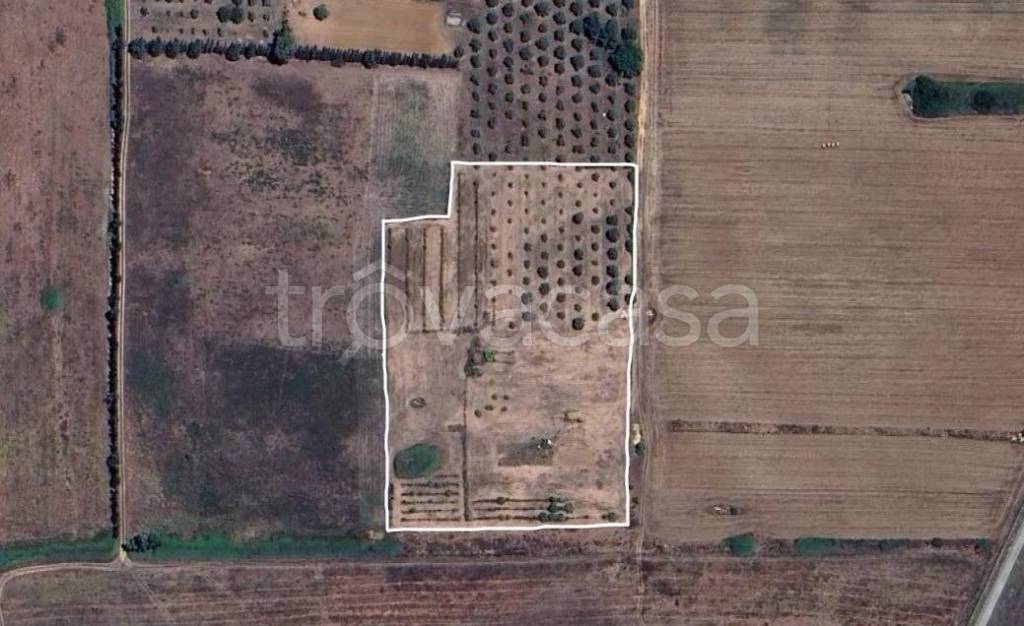 terreno agricolo in vendita ad Alghero