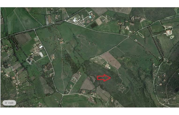 terreno agricolo in vendita ad Alghero