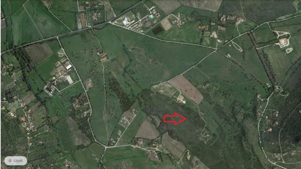 terreno agricolo in vendita ad Alghero