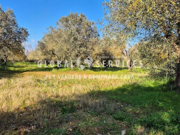 terreno agricolo in vendita ad Alghero in zona Sa Segada