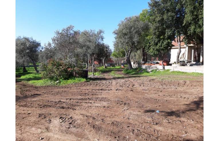 terreno agricolo in vendita ad Alghero in zona Carmine