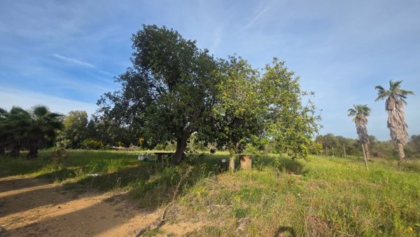 terreno in vendita ad Alghero in zona Sa Segada